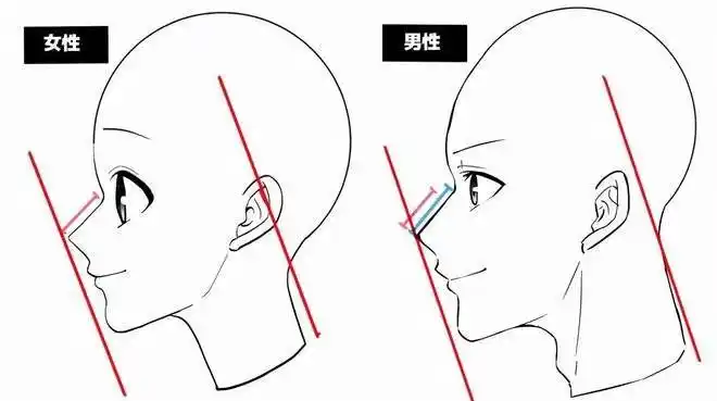 动漫人物正侧脸怎么画教你画侧脸的步骤和技巧