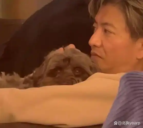 木村拓哉一见到自己的女儿就会像个孩子一样,做出的表情甚至要超过