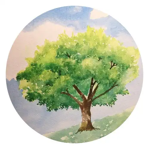 手绘树木种一棵树最好的时间一个是十年前其次是现在