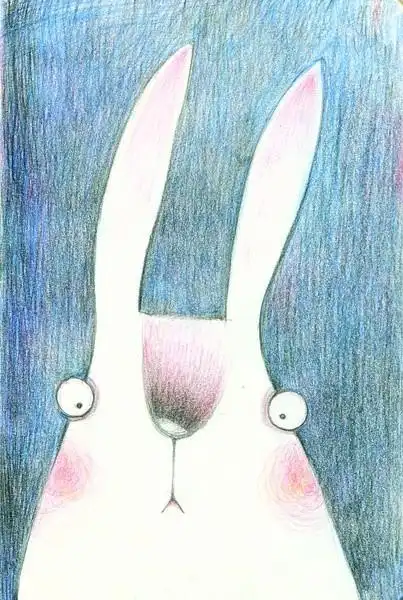 极简动物园萌萌哒动物彩铅画by豆瓣白关