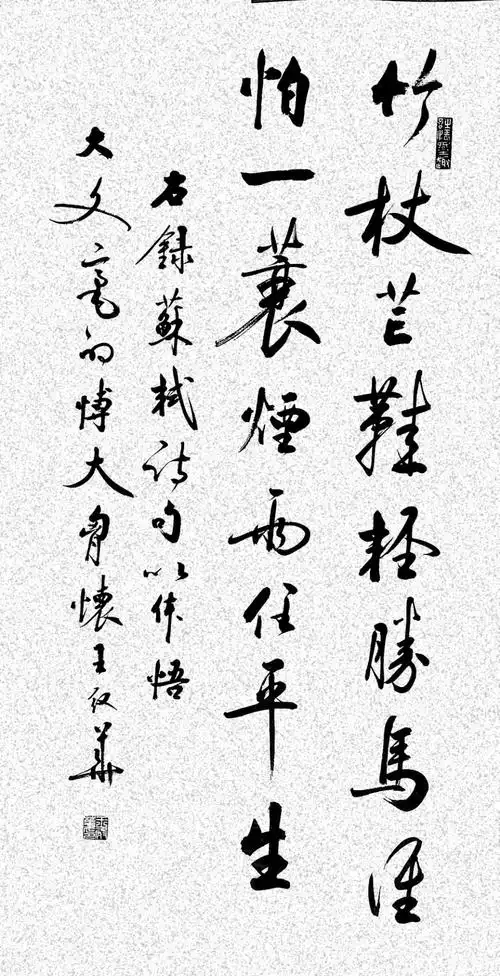 一蓑烟雨任平生 一一苏轼的人生境界