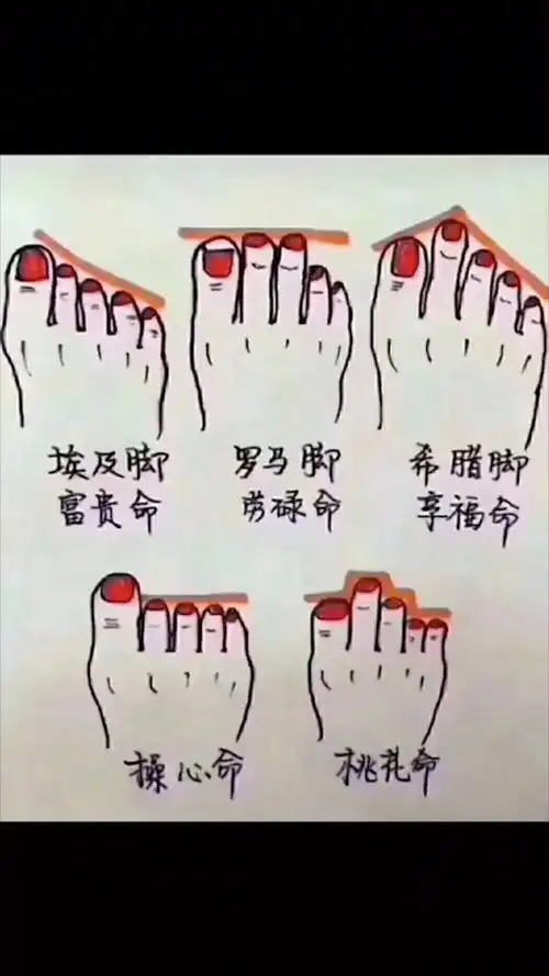 看一看自己的脚趾头,看看是什么脚,什么命