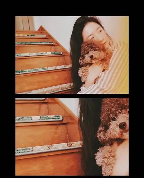 刘亦菲素颜出镜,穿条纹睡衣像病号服,和好友一起聚餐喝红酒