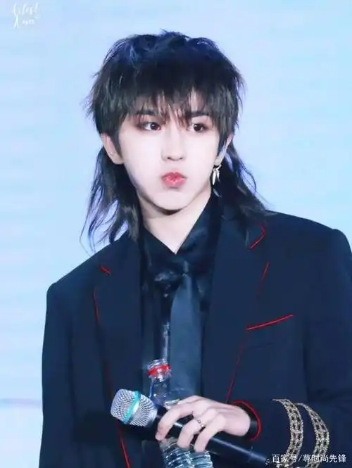 鲻鱼头发型,肖战王一博同款,还有哪个男星安排过?快来看看!