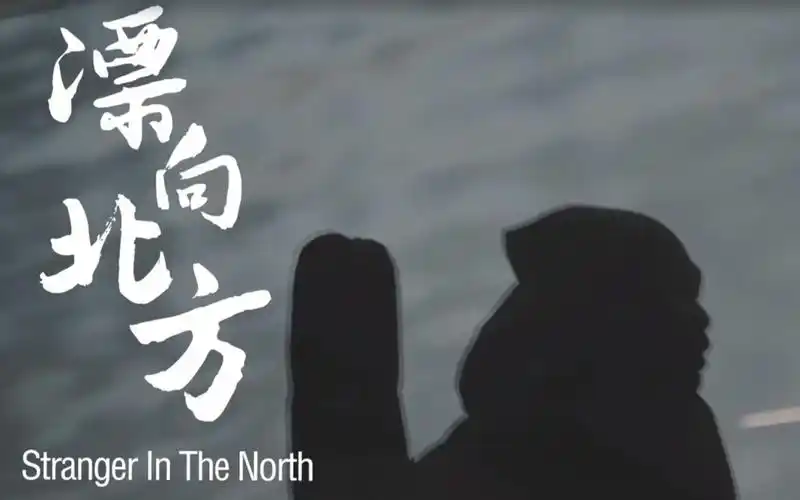 pr教程网络上超火热mv飘向北方的核心特效如何制作