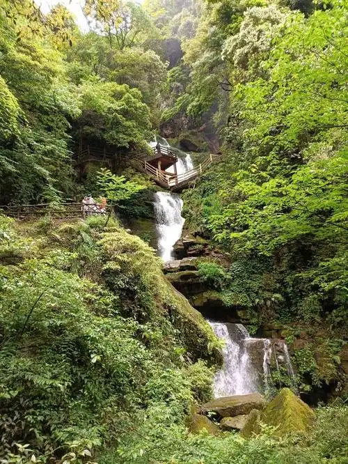 碧峰峡,国家5a级旅游景区,位于四川省雅安市雨城区碧峰峡镇.