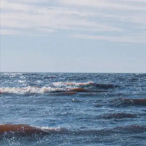 超好看的背景图_唯美图片_我要个性网