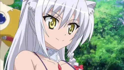 原创动漫中"猫娘"的萌点,深入宅心!