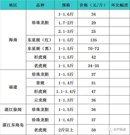 石斑鱼的价格往上走高,前景看好,鱼农养殖热情高涨