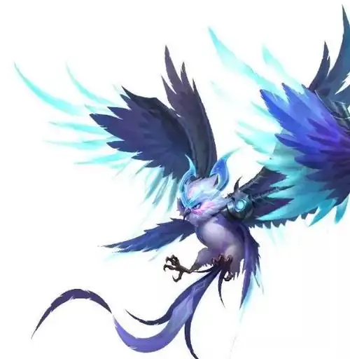 十二星座之水瓶座