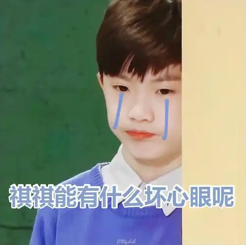 马嘉祺表情包楼