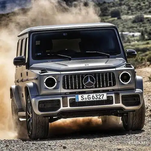 加价提车的奔驰大g,你喜欢吗?-新浪汽车
