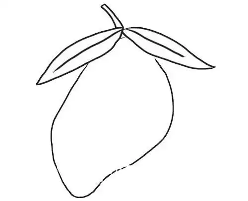 彩色芒果简笔画,图片,简笔画-学笔画
