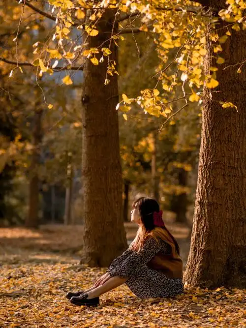 背影和秋天的怀念仿写作文