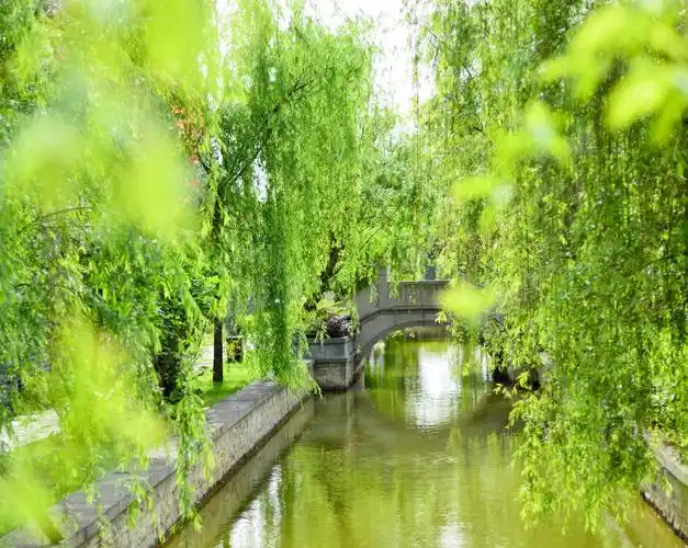 绿柳小桥