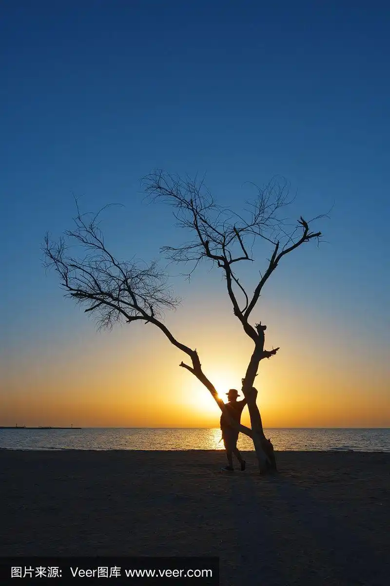 黄昏时分,一个孤独的人站在海滩上的树边