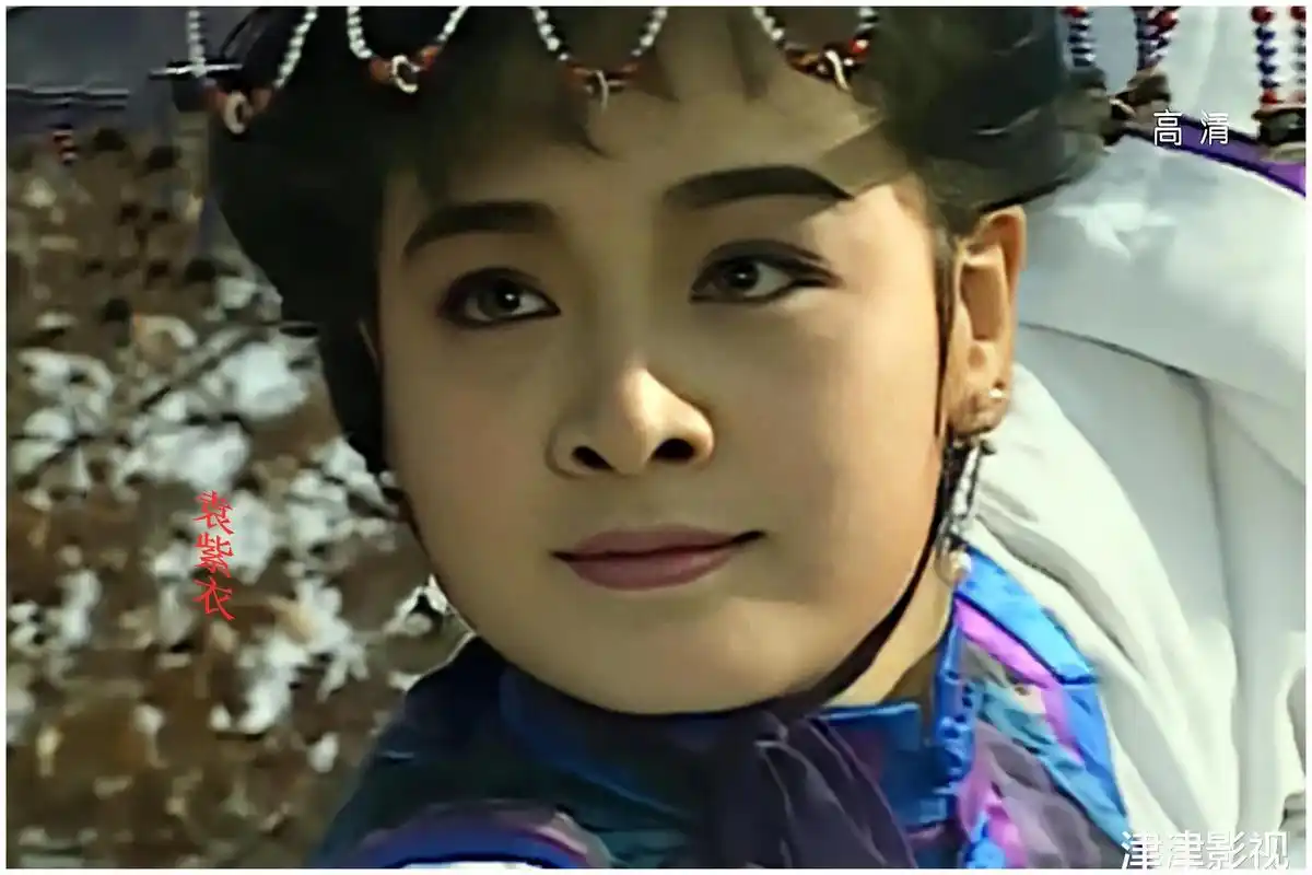 《雪山飞狐》的意义何在?