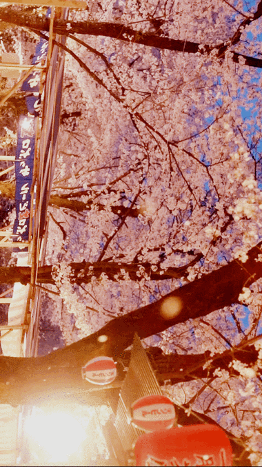 锁屏壁纸overwater3贝齿收集到关于樱花的锁屏壁纸overwater9许愿值