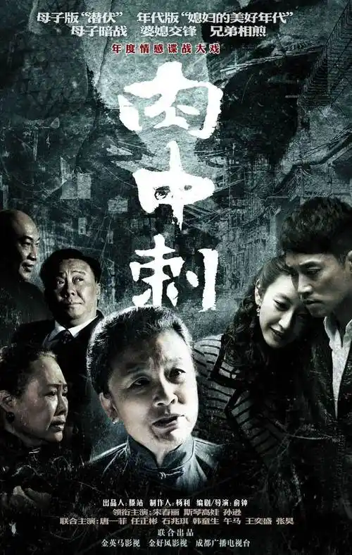 p>《独刺》是由金好风影视文化有限公司出品的电视剧, a target="