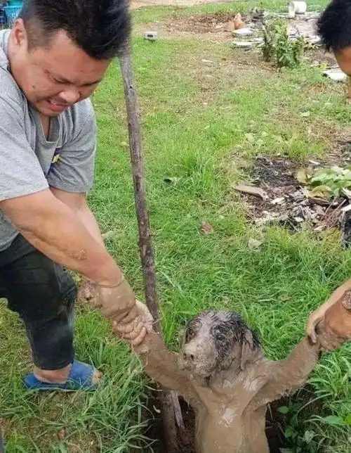 网恋奔现的大型翻车现场笑死了网友我找个对象容易嘛