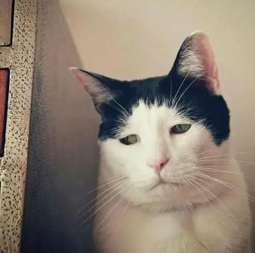 刘海剪坏了的你推marinamiries67676767