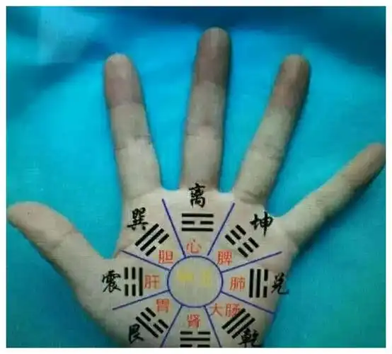 有了这些规则,古人在占算时只需动动手指便可以轻松地将干支,八卦等