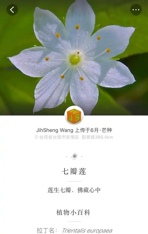 数字上的花草世界(下)