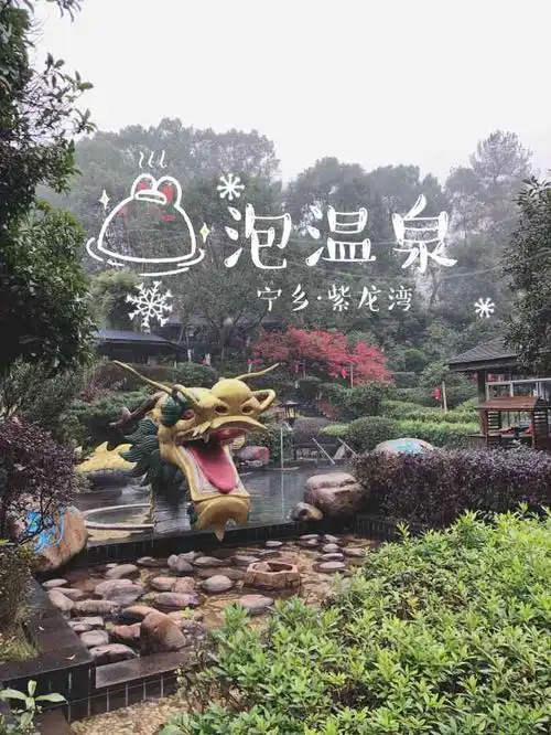 紫龙湾温泉-"99宁乡灰汤 我们七个人组团晚上去的 整.