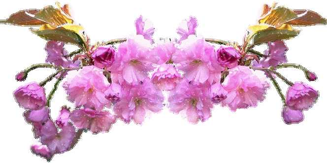 700_350gif 动态图 动图