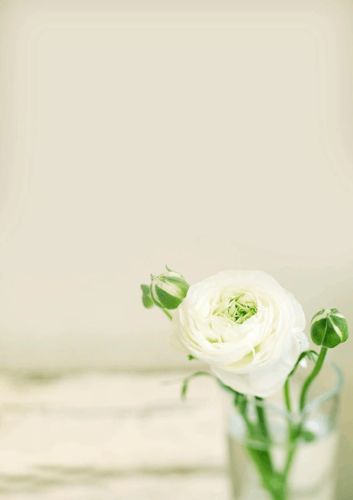 清新淡雅信纸背景