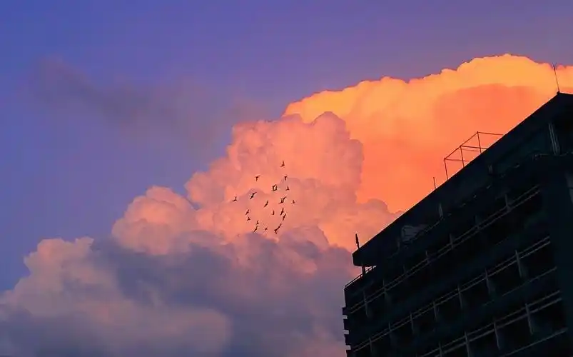 有什么壁纸能让ipad横屏和竖屏都合适