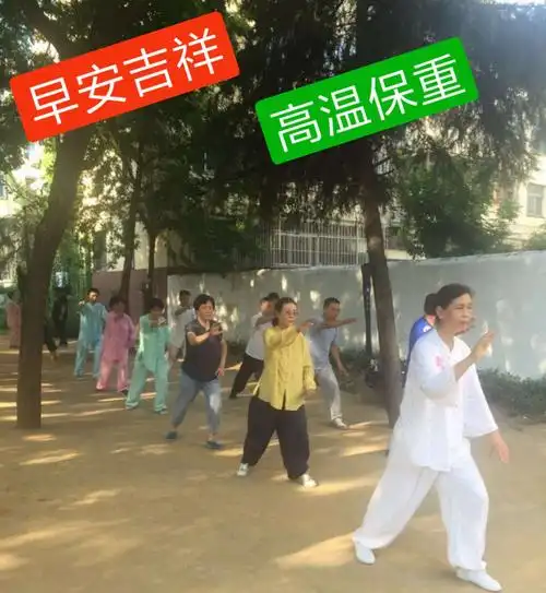 拳友们早上好,天天晨练身体好,吴式太极拳训练基地