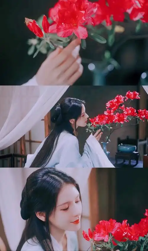 张予曦张予曦古装赞评论4更多