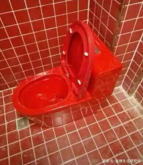 太沙雕了,你见过最丑的马桶是什么样的?网友评论:绝了
