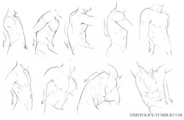 入门级男性躯干画法教你如何一键去油