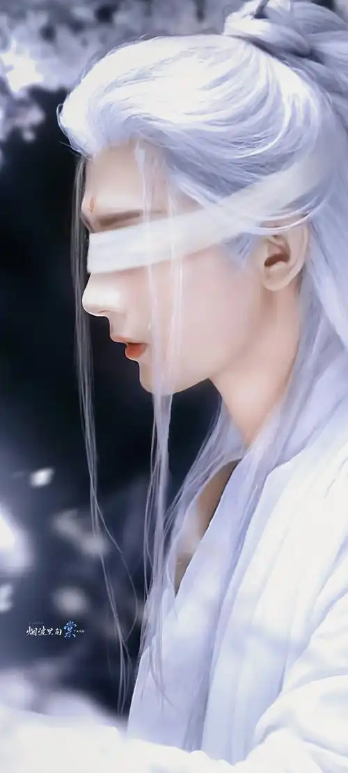 男演员白发造型