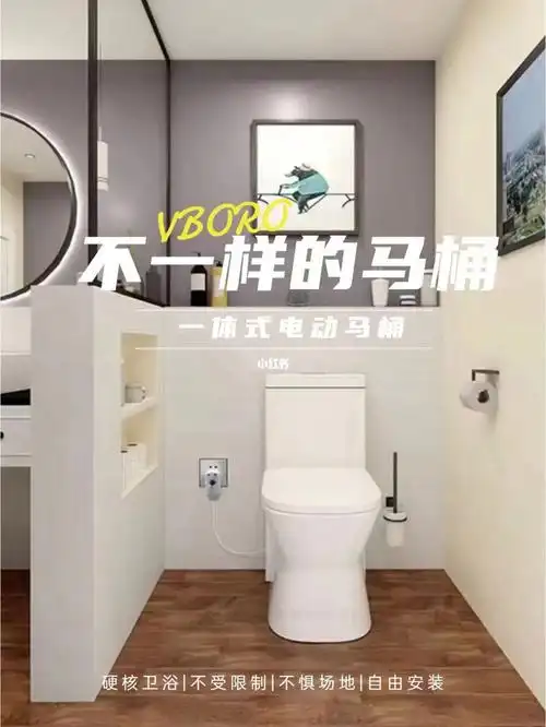 卫浴增添改造必备"不一样的马桶"