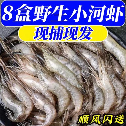 鲜活河虾新鲜野生小河虾淡水小白虾青虾新鲜鲜活冷冻小草虾大号虾