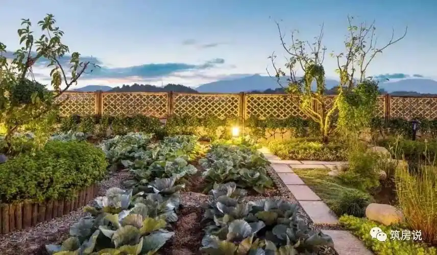 别人家的菜园竟然比你家的花园还美