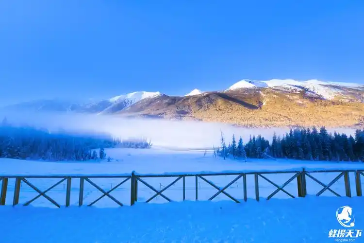 蜂摄天下——新疆雪景,白雪皑皑中的静寂之美