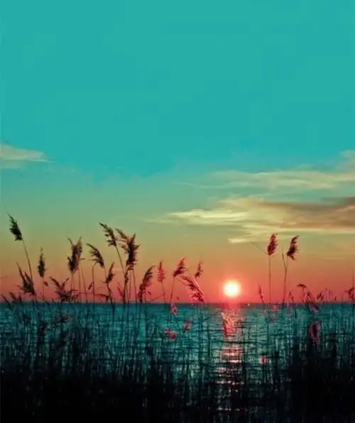 lomo治愈系图片去看看2020-04-15唯美秋天落叶自然景观lomo意境图片