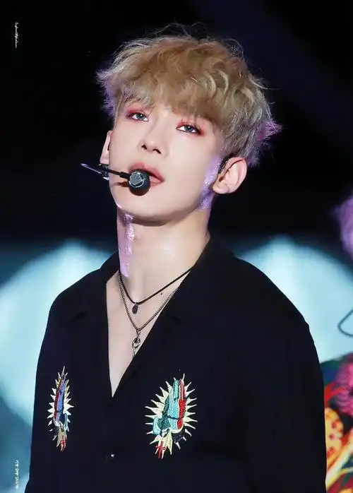 exo金钟大表演现场公开粉丝全部关闭应援灯用一片黑海表态度