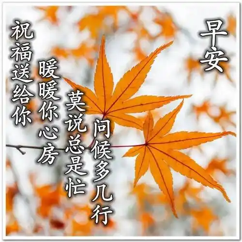 知己是完美的深交;缘分是长久的相连,你我是真诚的友谊,在温馨的早晨