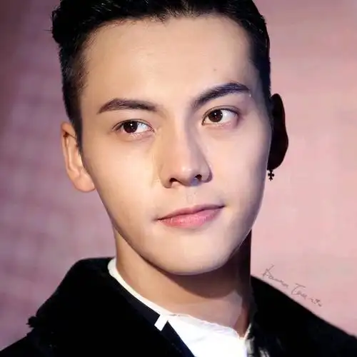 影视娱乐圈中的"偶像派"演员中瓜子小脸型占主流,而陈伟霆和马天宇一