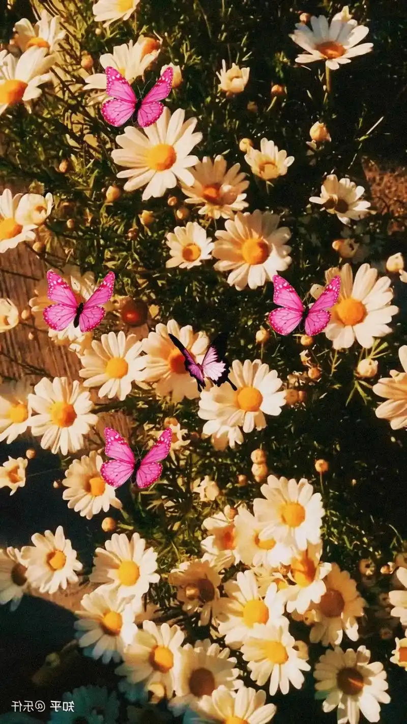 等到万事可期  ,愿你遇见更好的自己#抖音图片来了  - 抖音