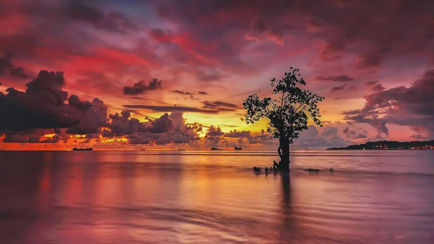 清新黄昏美景唯美高清桌面壁纸