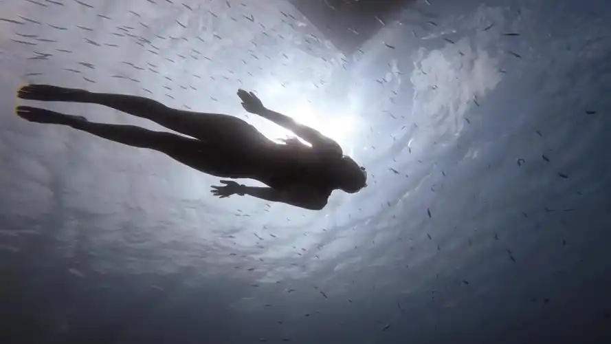 美女潜水,深海潜水,海底世界