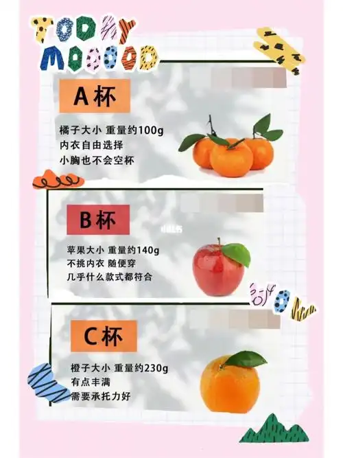 胸有多重 『上篇』