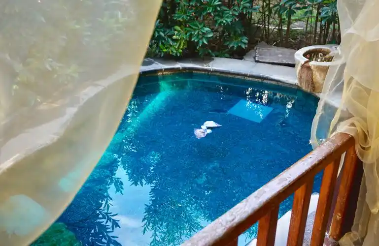 踏入汤泉,沐浴此地,耳闻婉转莺歌,感受融融暖意,玫瑰花池,绿茶池,牛奶