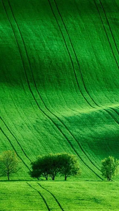 高清微信护眼图